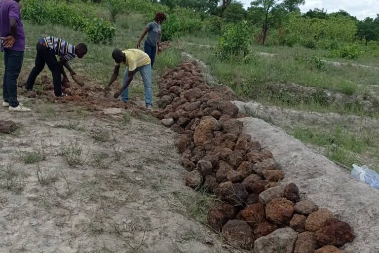 Multi-Ingénieurs Conseils SARLU a réalisé des travaux d’aménagement des bas fonds pour la riziculture